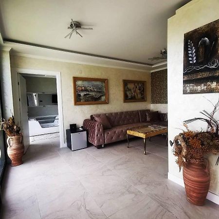 Lux Vila Aleksandar Sremska Kamenica Bagian luar foto