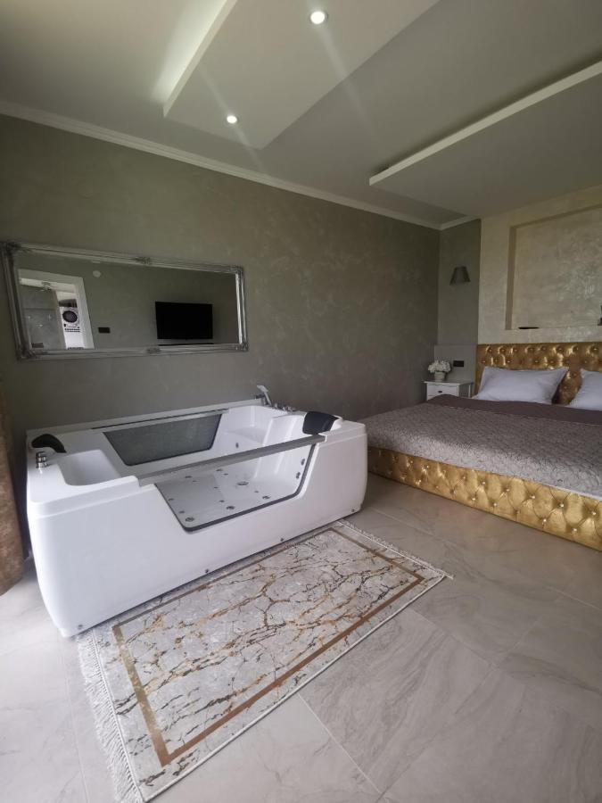 Lux Vila Aleksandar Sremska Kamenica Bagian luar foto
